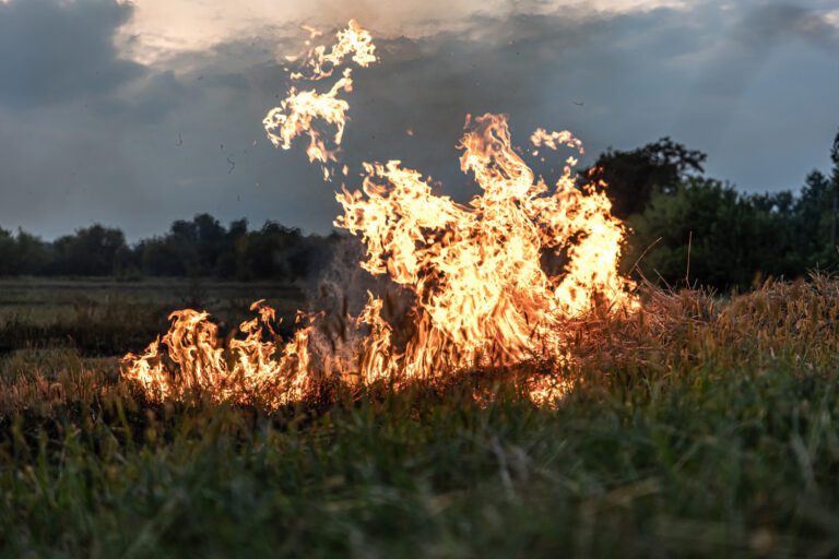 Lire la suite à propos de l’article Incendies dans les Pyrénées-Orientales : Comprendre les Garanties et Franchises de Votre Assurance